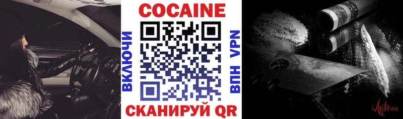 Купить где Корсаков COCAIN Columbia