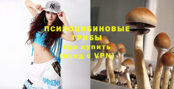 ГАЛЛЮЦИНОГЕННЫЕ ГРИБЫ Горнозаводск