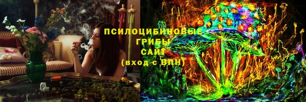 ГАЛЛЮЦИНОГЕННЫЕ ГРИБЫ Горнозаводск
