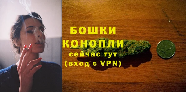 2c-b Горняк