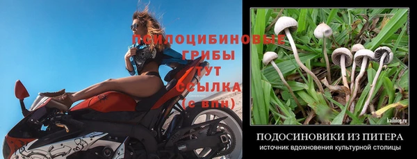 2c-b Горняк