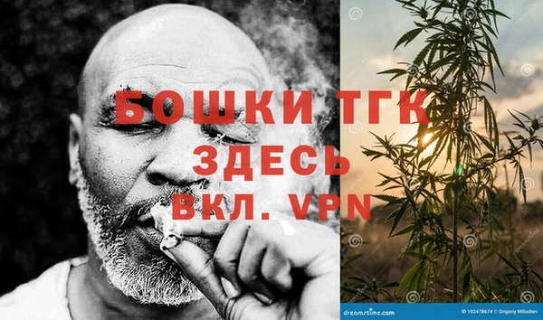 2c-b Горняк