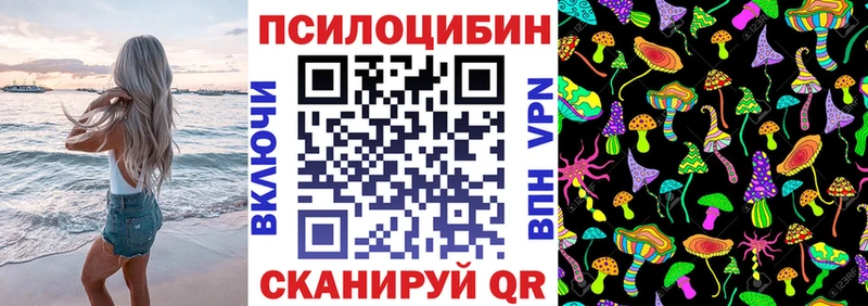 Псилоцибиновые грибы Cubensis  Купить закладки  Корсаков 